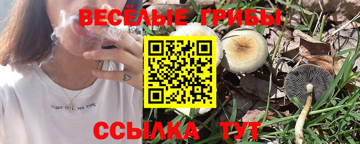 Саранск  Псилоцибиновые грибы Psilocybine cubensis  Галлюциногенные грибы MAGIC MUSHROOMS  Вход с VPN 