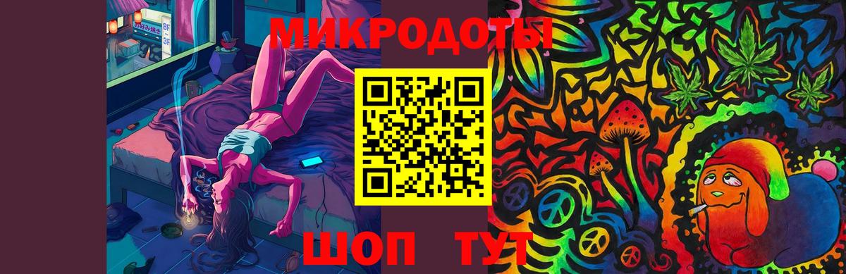 Псилоцибиновые грибы Psilocybine cubensis Саранск